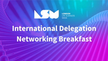 LLSW International delegation.png