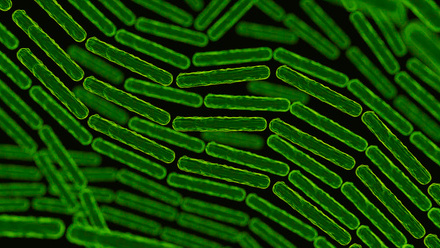 3d-representation-microscopic-pathogens.jpg
