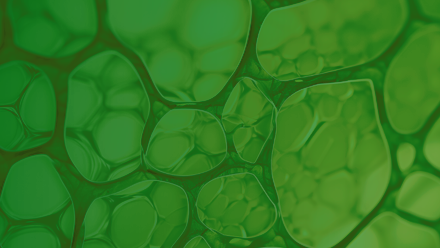 BioSolutions UK background square.png