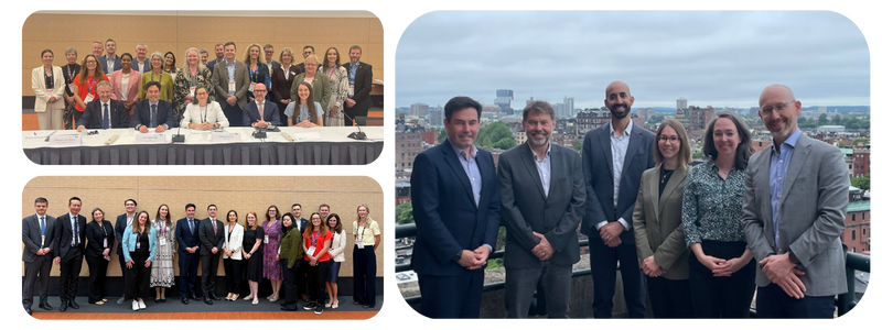 newscast collage.png