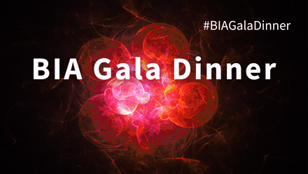 Gala Dinner 2025 - web banner.png