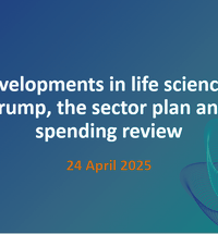 Thumbnail LS Webinar.PNG